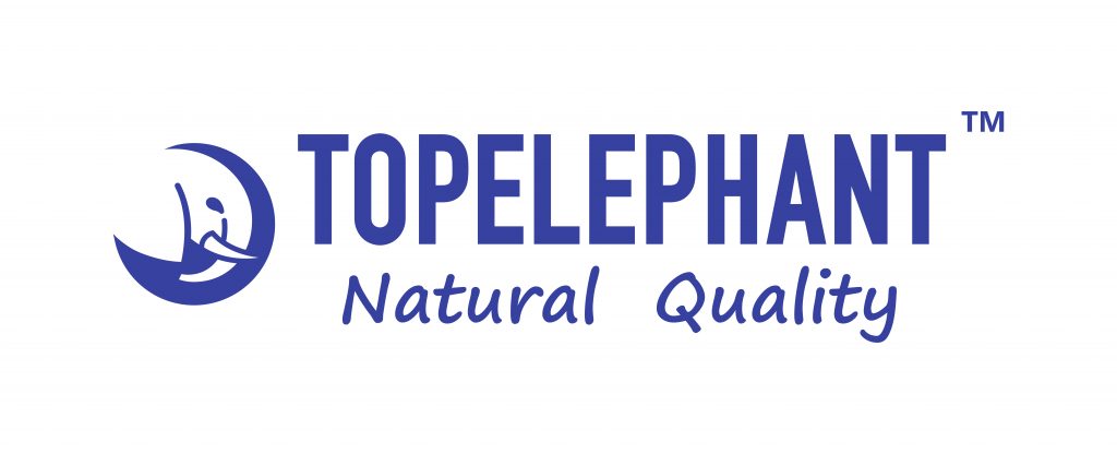 TOPELEPHANT_BLUE_LOGO